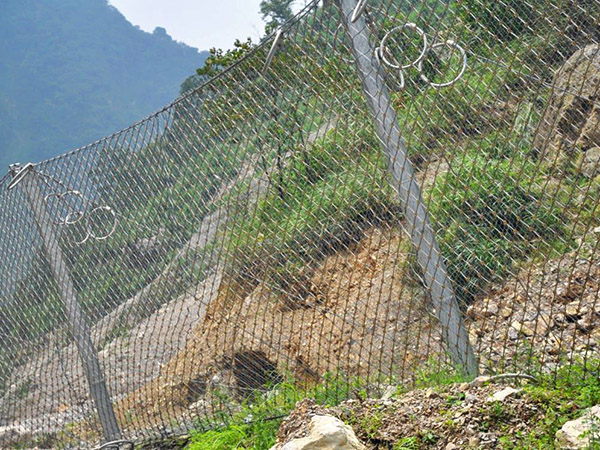 边坡植被绿化图片2