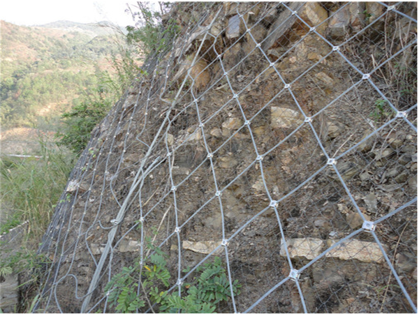 护坡勾花网图片2