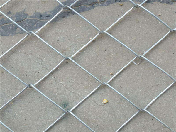 护坡勾花网图片3