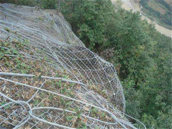 边坡植被绿化图片4