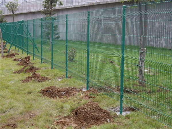 双边丝护栏网图片3