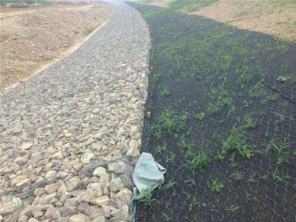 加筋麦克垫图片2