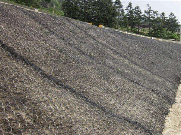 加筋麦克垫图片3