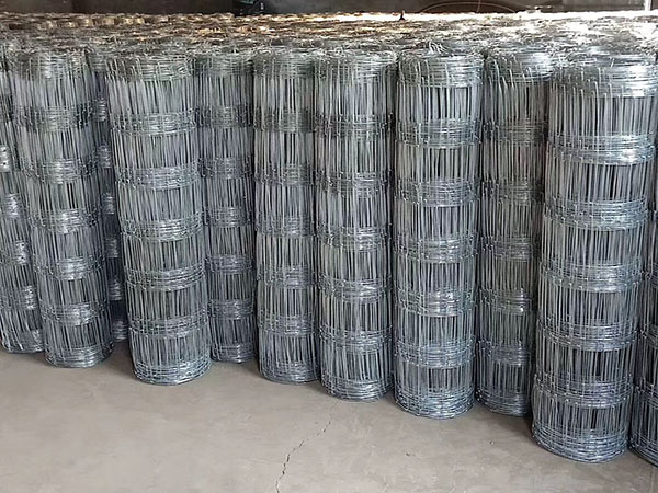 缠绕型网围栏图片2