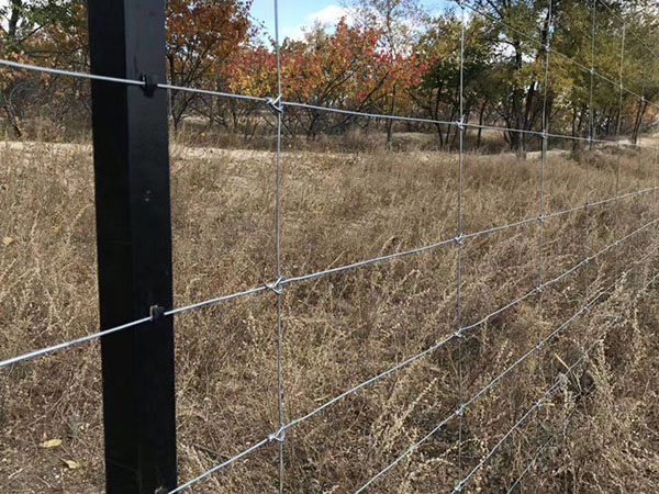 缠绕型网围栏图片3