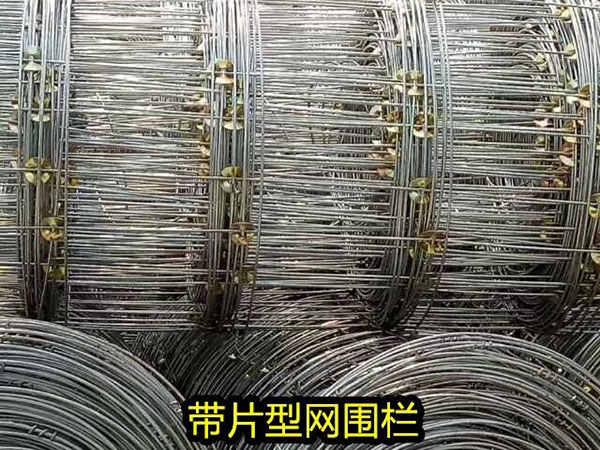 环扣网围栏图片3