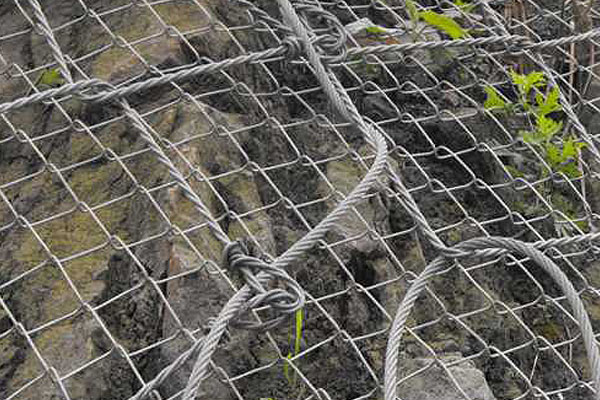 主动防护网图片6