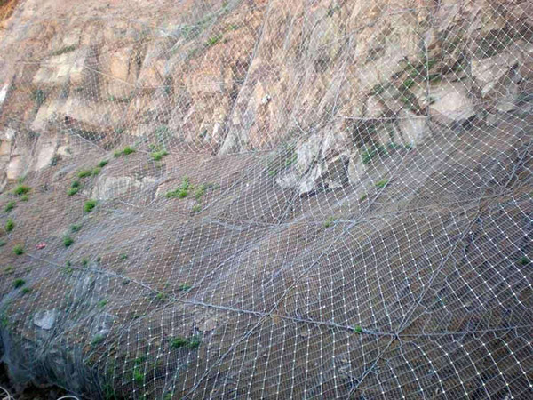 边坡植被绿化图片5