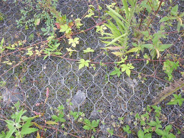 加筋麦克垫图片5