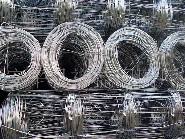 环扣网围栏图片6