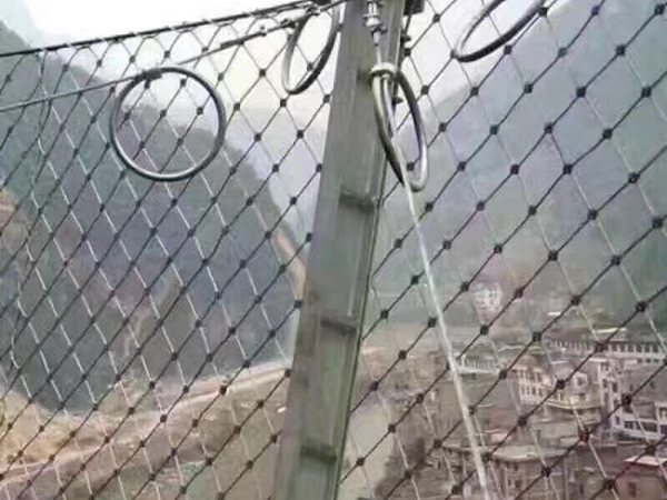 被动防护网图片6