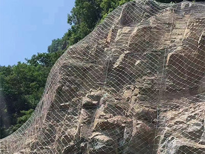 主动防护网图片2