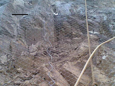 护坡勾花网图片4