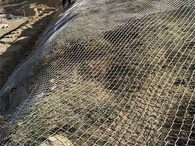 护坡勾花网图片6