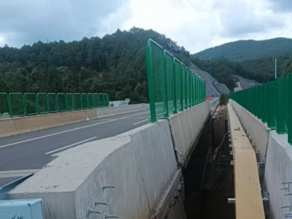 高标准勾花防护网案例图片3